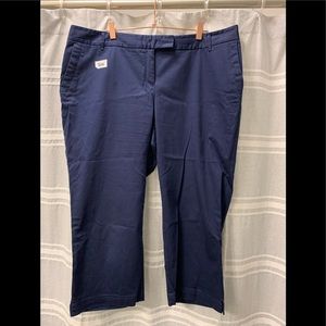Charter Club pants 16w in Women